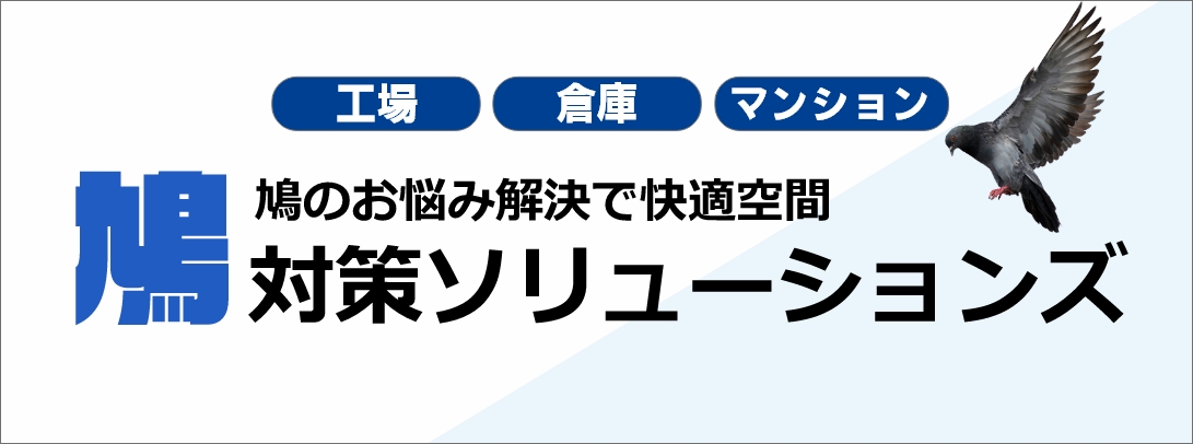 倉庫、工場、マンション、鳥害対策ことなら鳩対策ソリューションズ