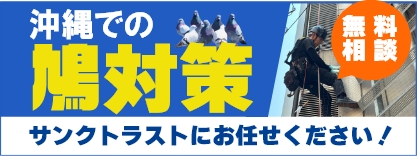 沖縄での鳩対策