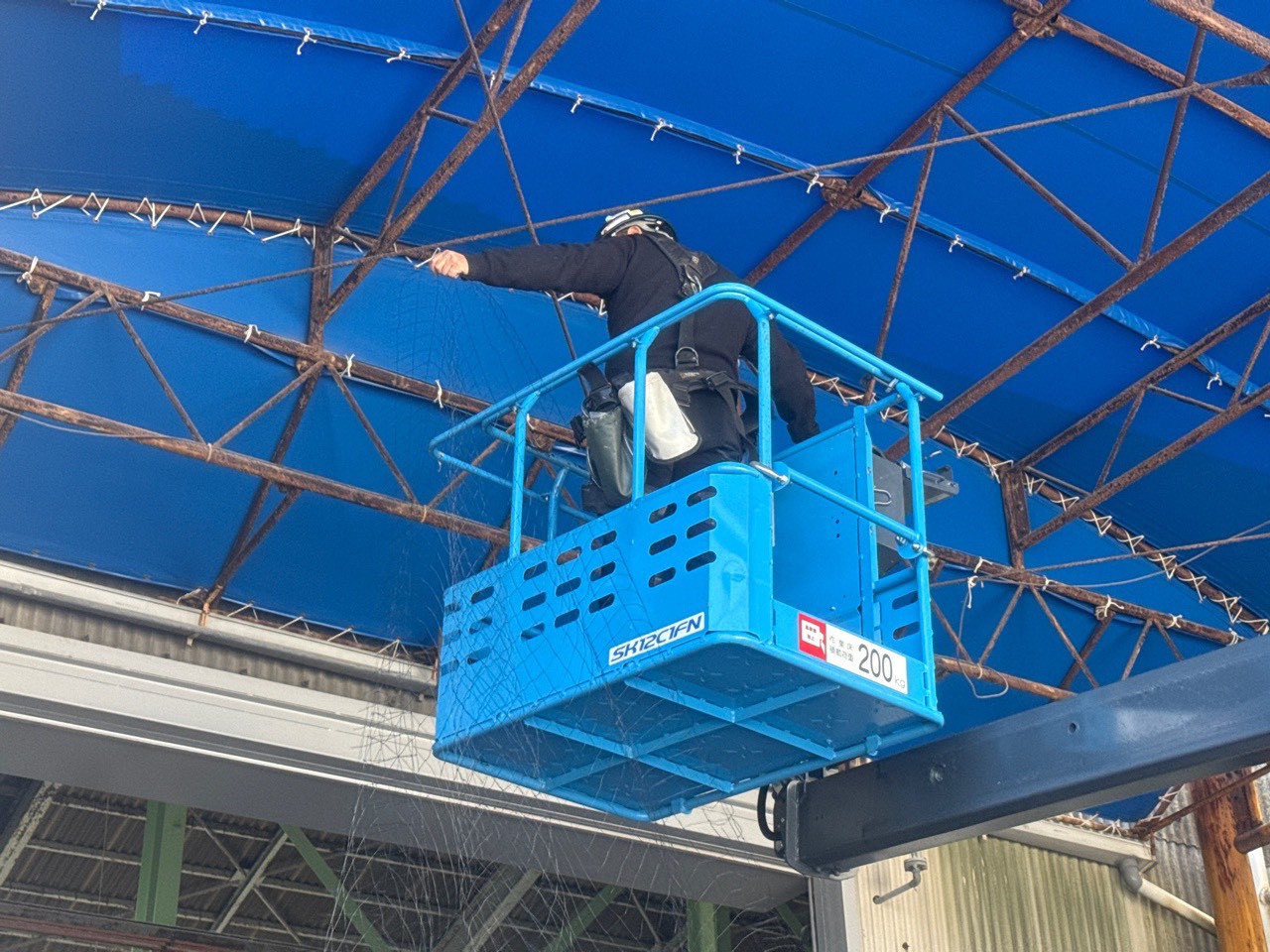 建物の鳩被害を調査するスタッフ