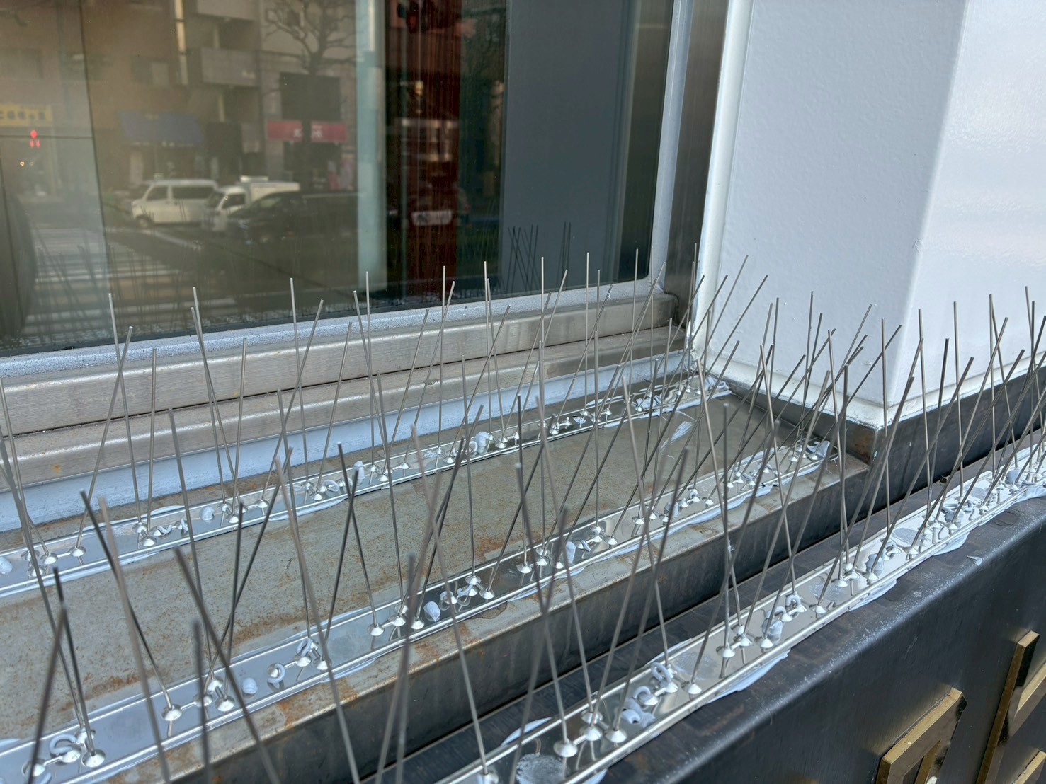 剣山・ワイヤー施工のイメージ
