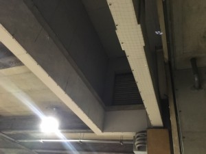 鳩対策