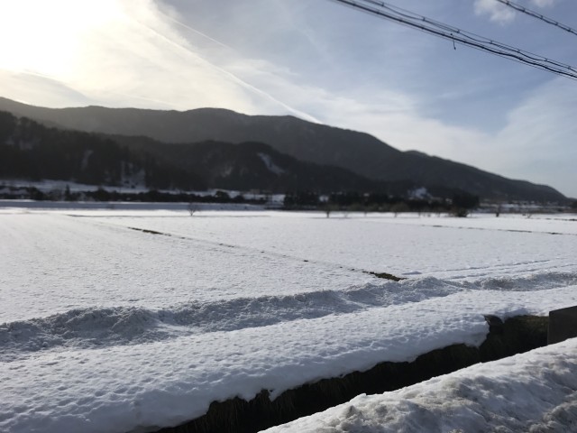 2________Blog