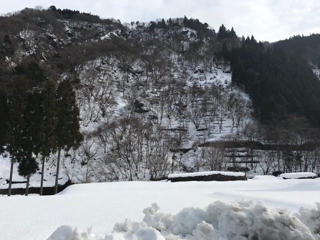 7________Blog