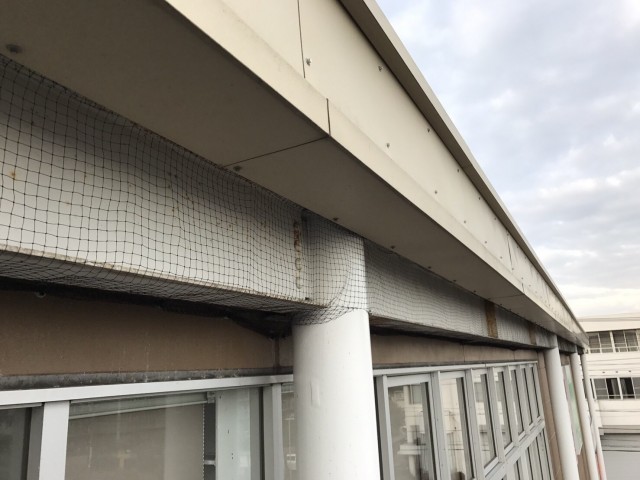 14_____BLOG