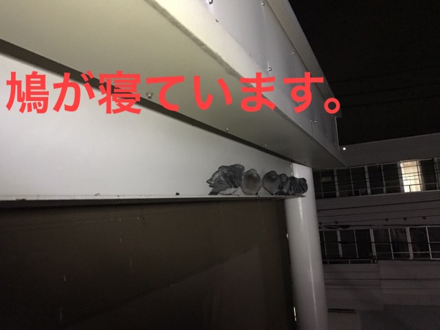 2_____BLOG