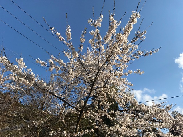 15________Blog