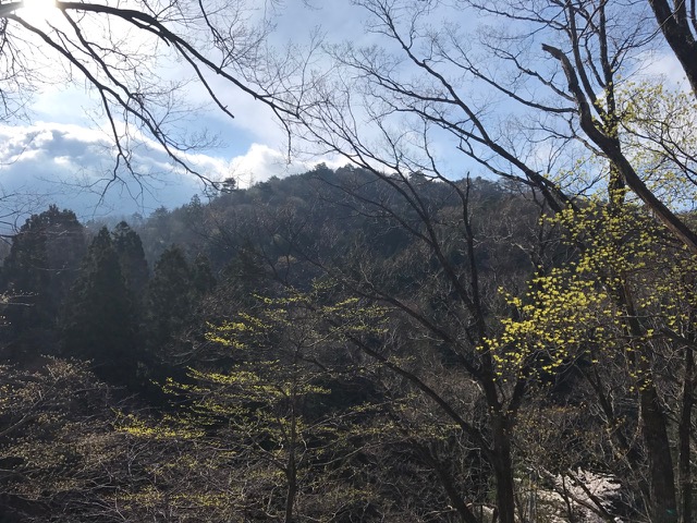 26________Blog