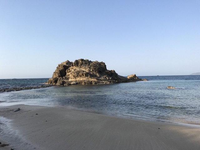 39________Blog