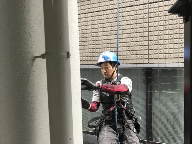 45______BLOG