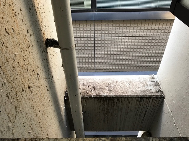 52______BLOG