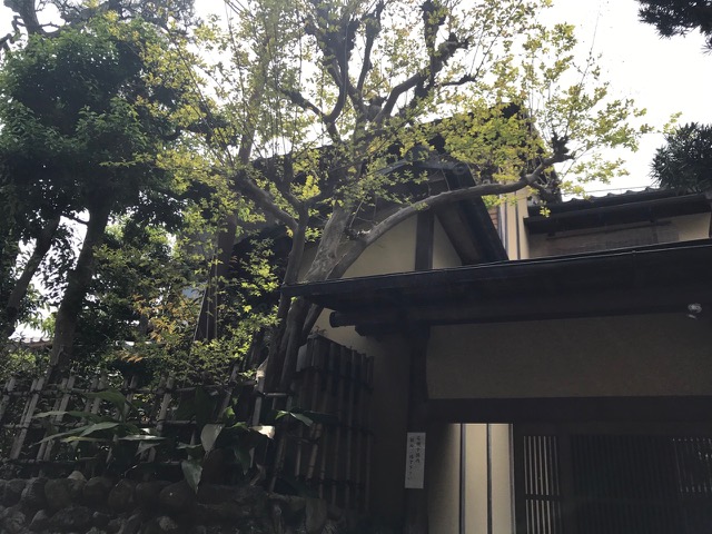 86________Blog