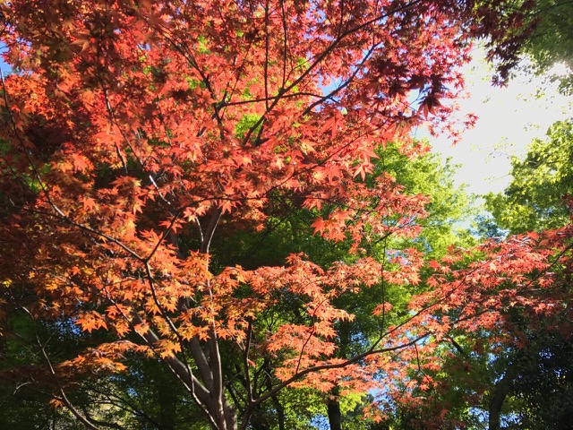 87________Blog