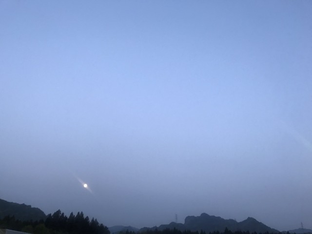 13________Blog