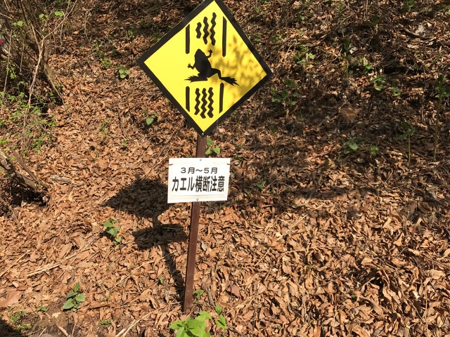 55________Blog