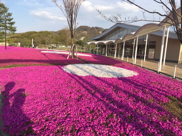 58________Blog