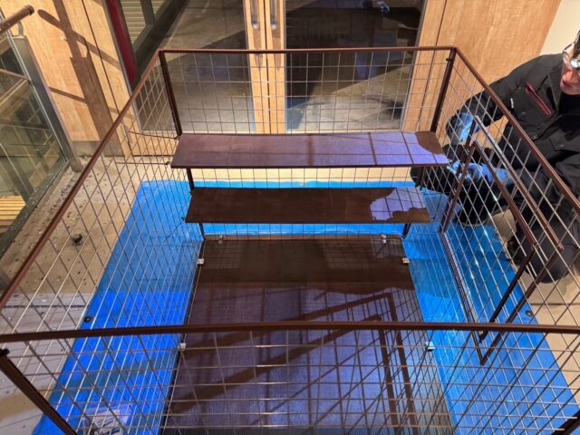 ビルの吹き抜け部に鳩が飛来し、糞害が起きているのでどうにかして欲しい