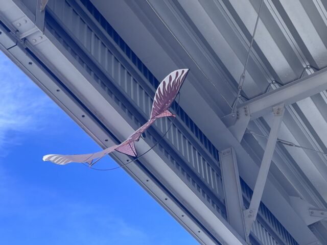 効果のない鳩対策事例と効果的な対策法