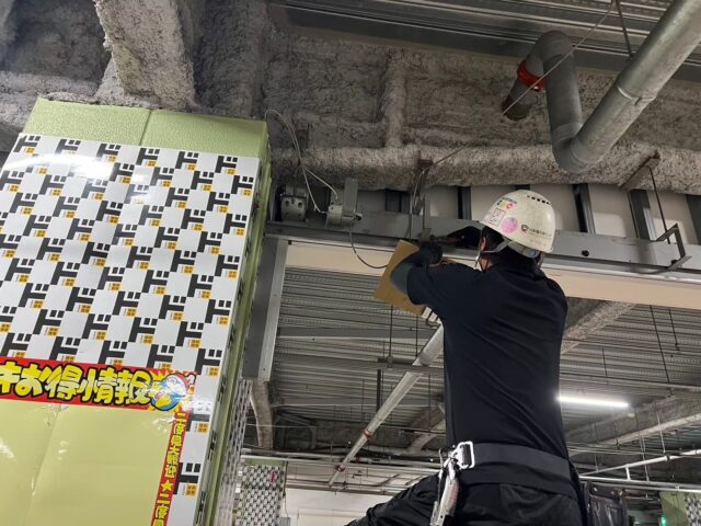 鳩被害の主な原因とその対策１