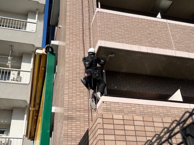鳩対策におけるロープアクセス工法：高所作業の効果的な対策