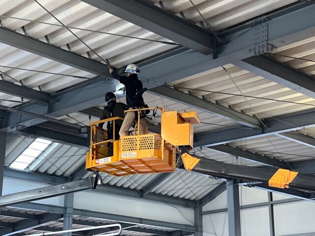 工場や倉庫で鳩の被害に遭うと、以下のような損失が発生します。その１