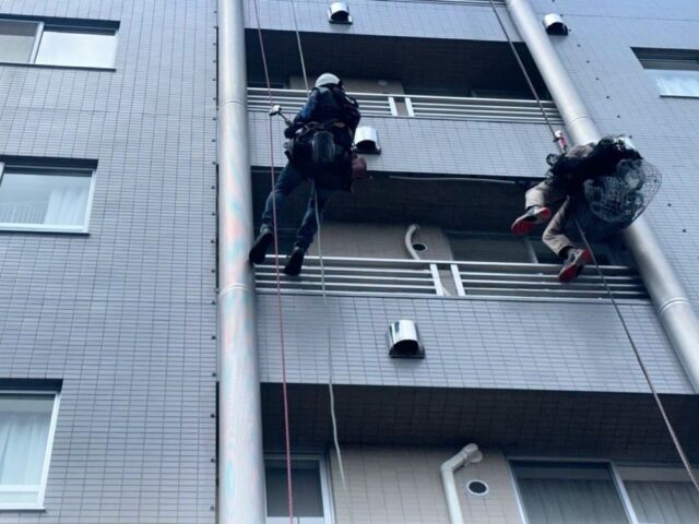 鳩がベランダに来る理由と追い払うための5つの方法2