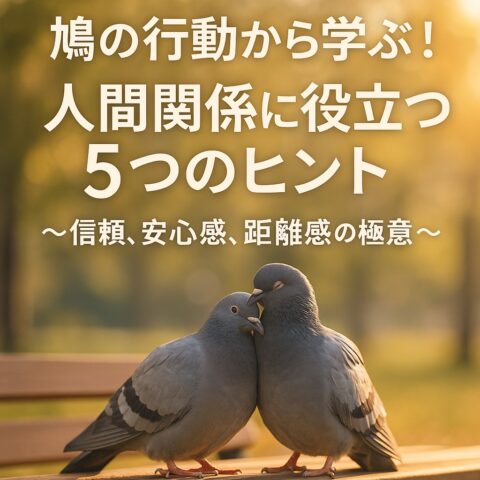 鳩の行動から学ぶ！人間関係に役立つ意外な教訓5選