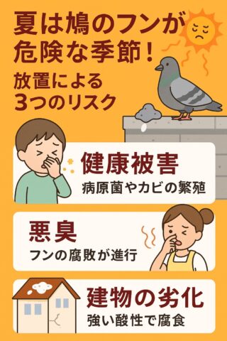 夏対策シリーズ② 【第2回】屋根・ベランダの“熱＋フン”が建物を壊す