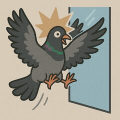 鳩対策、バードストライクその２ 施設管理・建物環境における「バードストライク」の現場的な意味