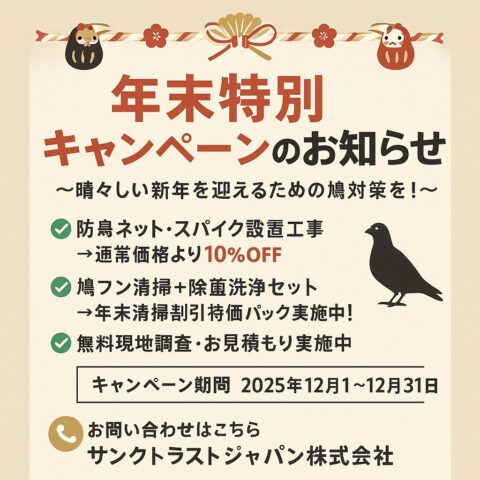 11月末臨時ブログ 🎍年末特別キャンペーンのお知らせ