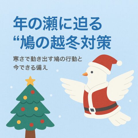 ②大掃除だけでは防げない!? 年末年始に注意したい鳩のフン害と衛生対策