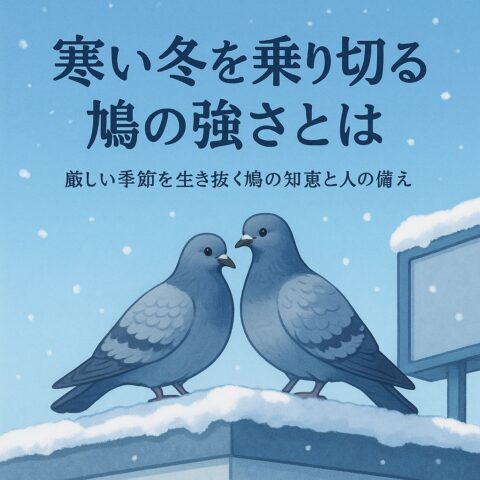 寒い冬を乗り切る鳩の強さとは