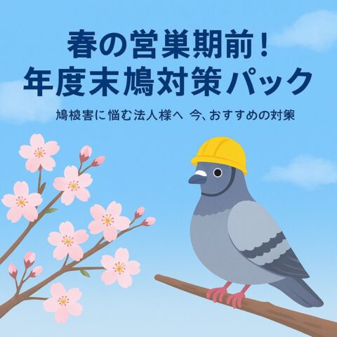 年度末に見直す「鳩被害対策」──春の営巣期を前にした今こそ、建物を守る準備を